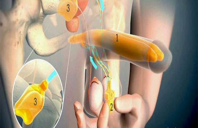 Operasi Lipofilling